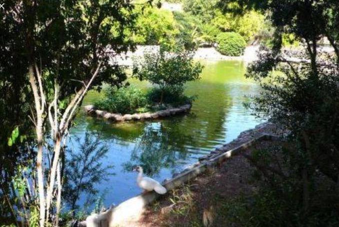 Bellini Bed & Breakfast Cagliari Ngoại thất bức ảnh